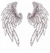 Angel wings image picture tattoos